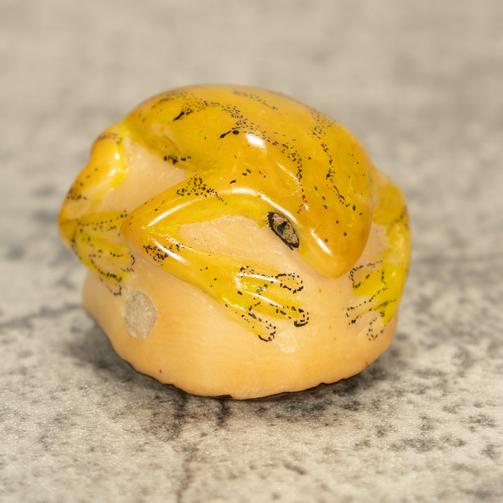 Poison Dart Frog Tagua Nut Carving