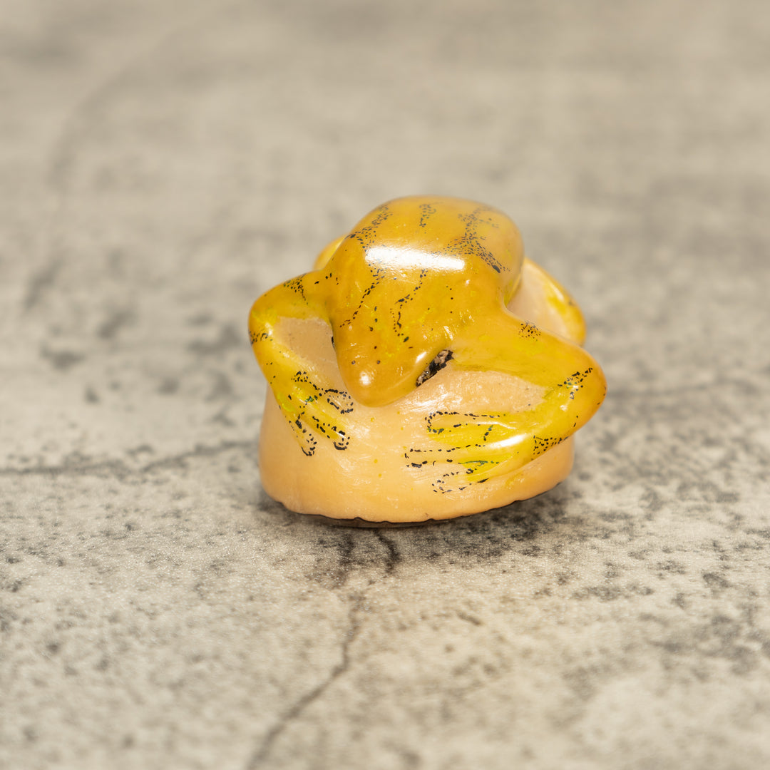 Poison Dart Frog Tagua Nut Carving