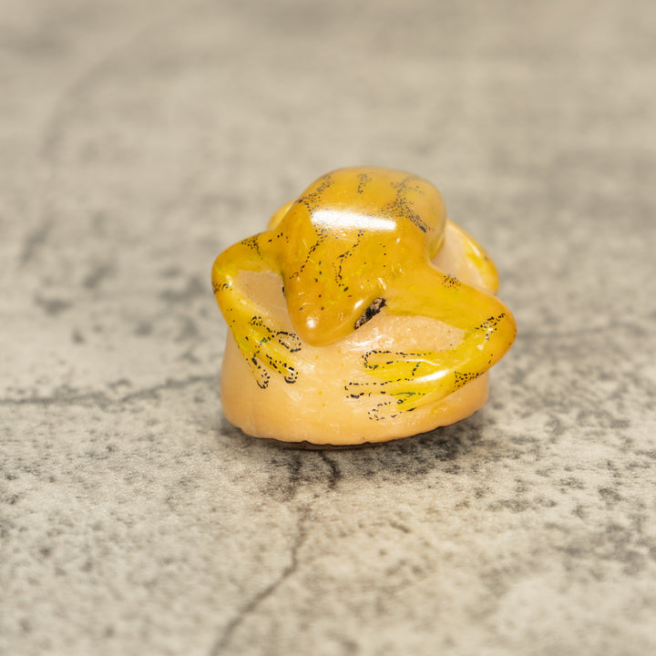 Poison Dart Frog Tagua Nut Carving
