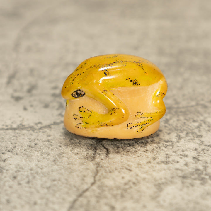 Poison Dart Frog Tagua Nut Carving