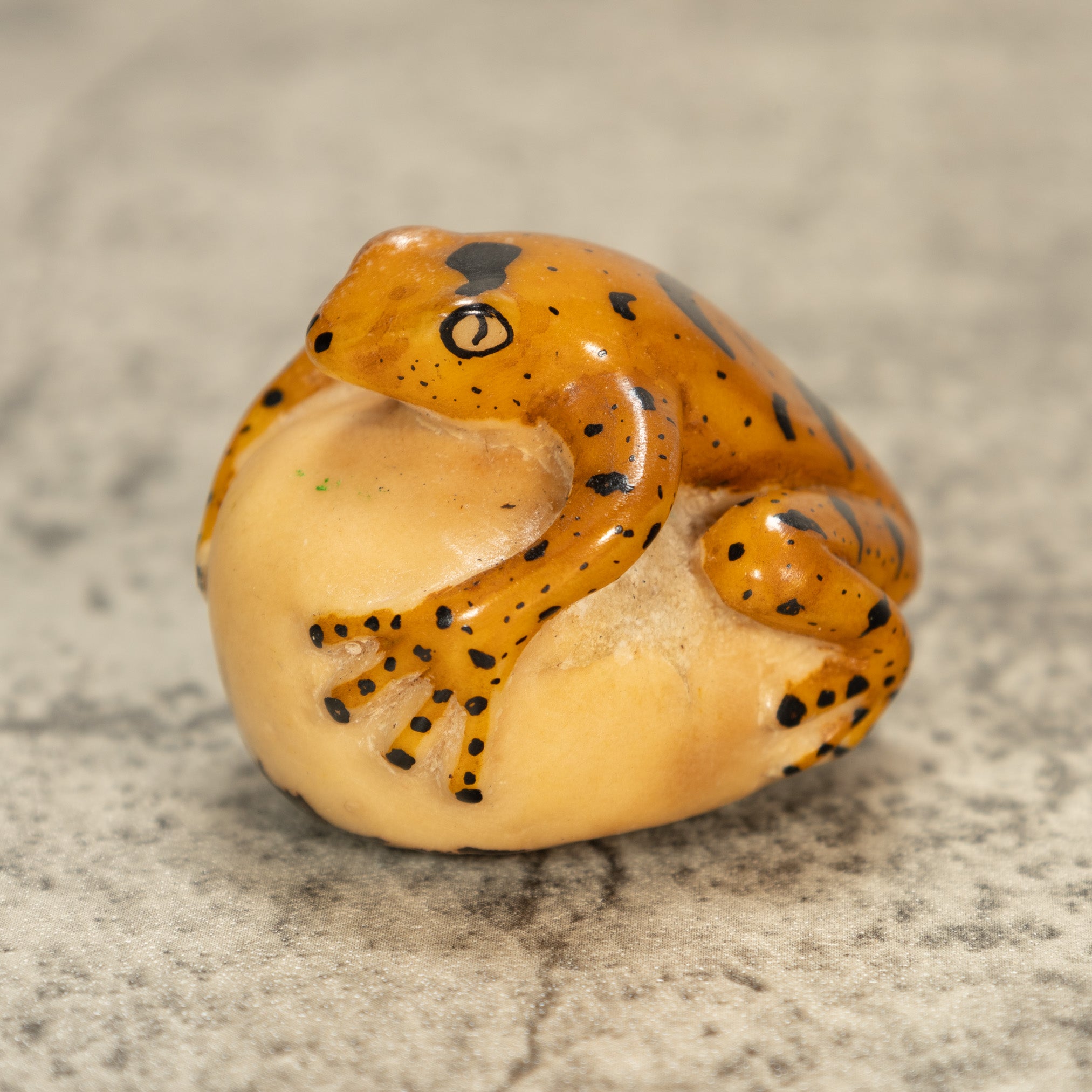 Poison Dart Frog Tagua Nut Carving