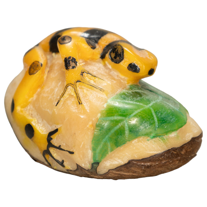 Poison Dart Frog Tagua Nut Carving