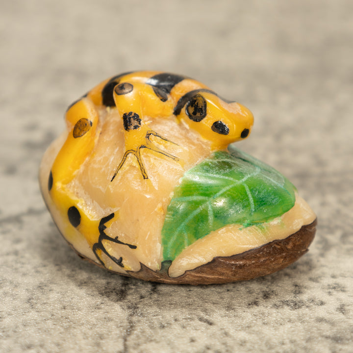 Poison Dart Frog Tagua Nut Carving