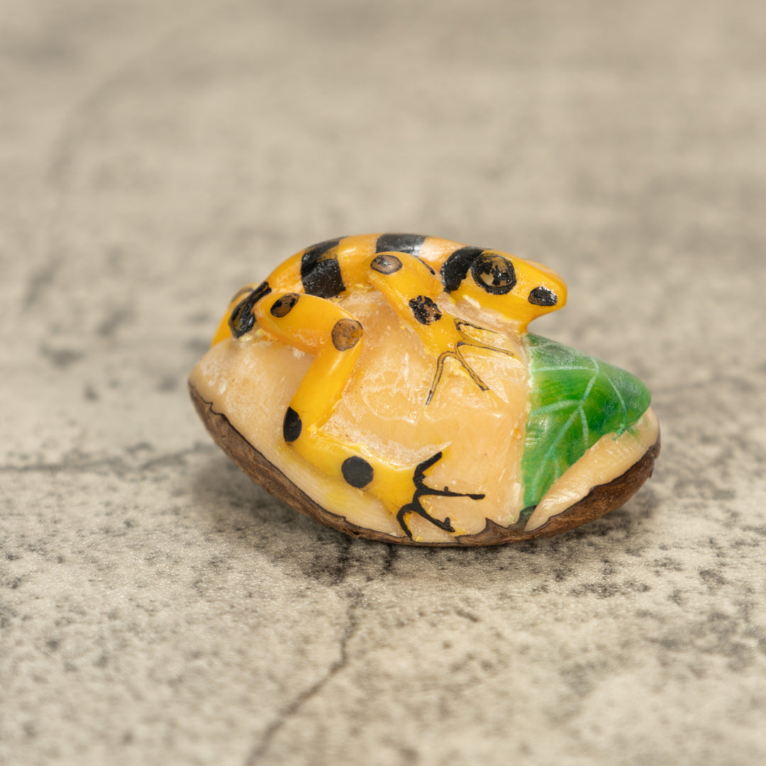 Poison Dart Frog Tagua Nut Carving