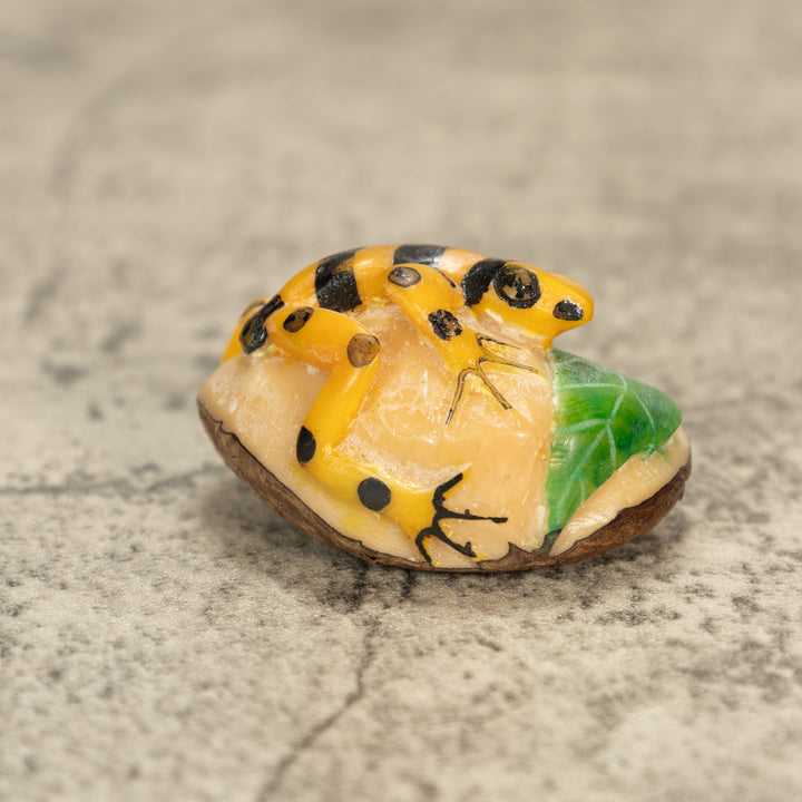 Poison Dart Frog Tagua Nut Carving