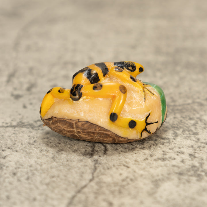 Poison Dart Frog Tagua Nut Carving