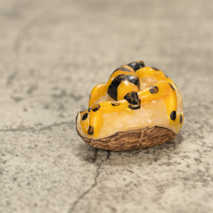 Poison Dart Frog Tagua Nut Carving