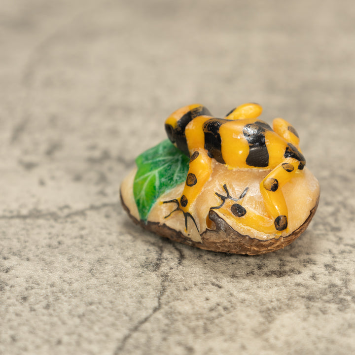 Poison Dart Frog Tagua Nut Carving