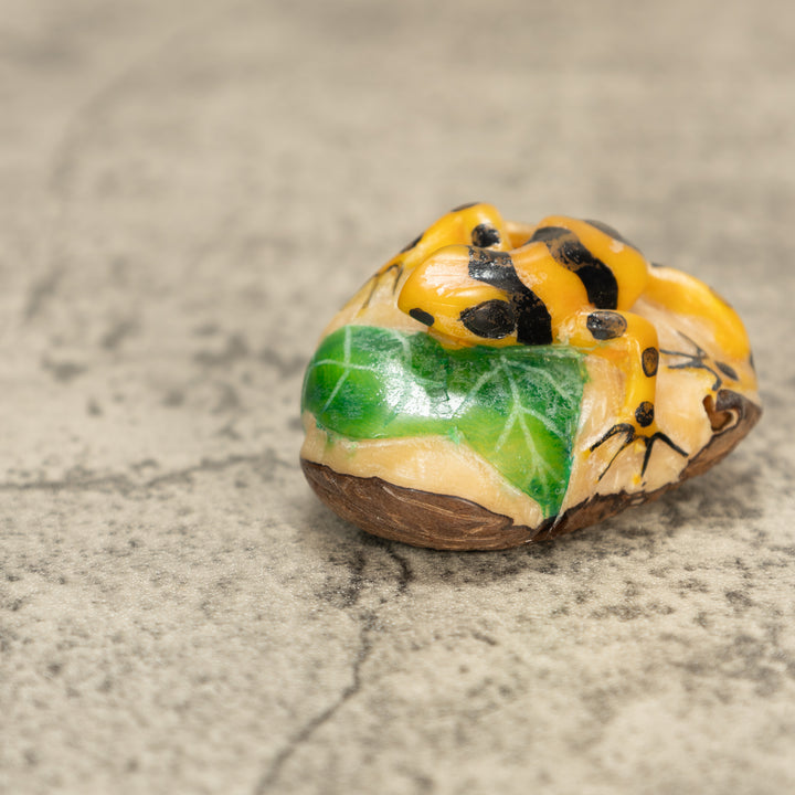 Poison Dart Frog Tagua Nut Carving