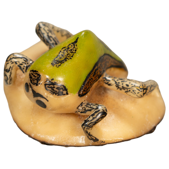 Green Bug Insect Tagua Nut Carving