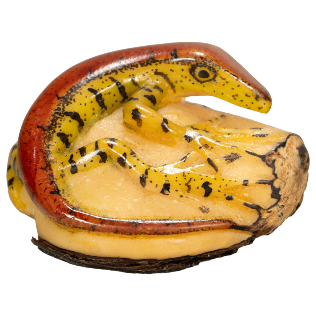 Red And Greenish Gecko Tagua Nut Carving