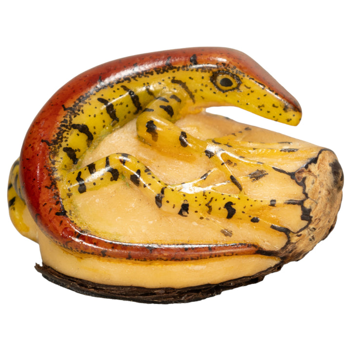 Red And Greenish Gecko Tagua Nut Carving