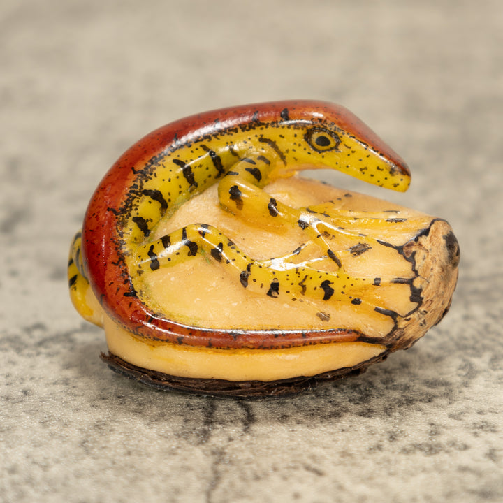 Red And Greenish Gecko Tagua Nut Carving