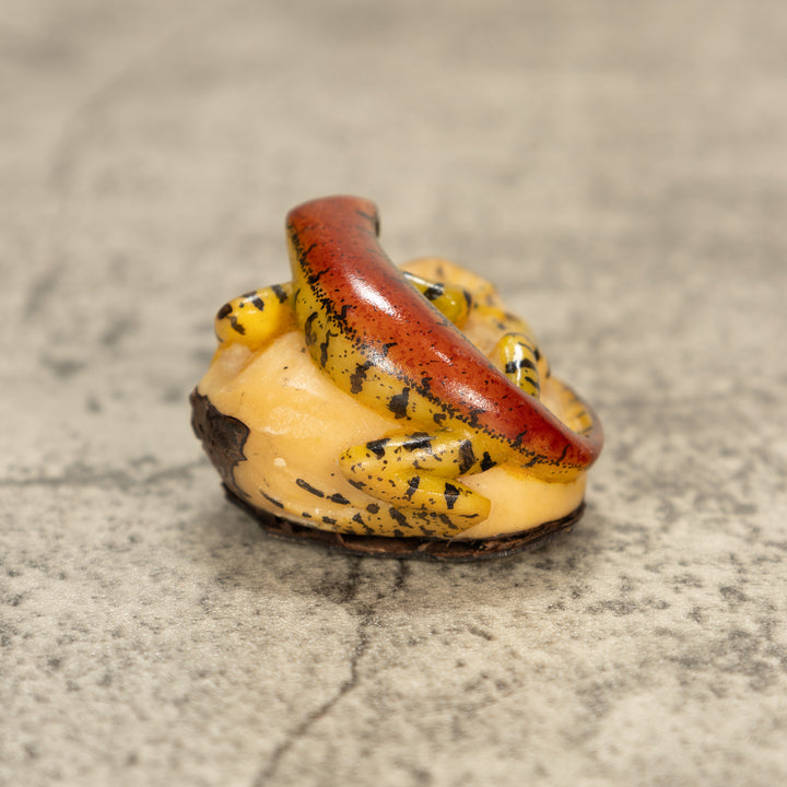 Red And Greenish Gecko Tagua Nut Carving