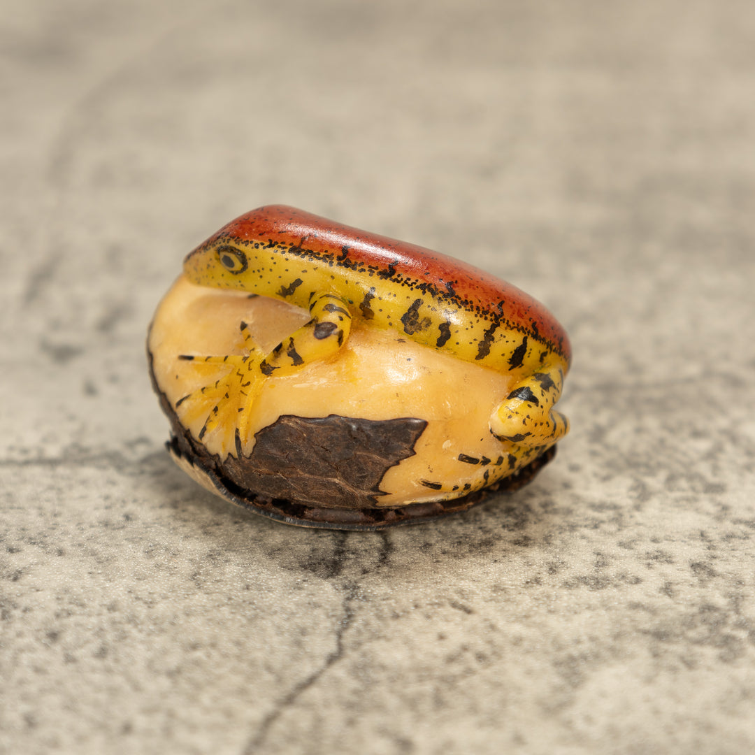Red And Greenish Gecko Tagua Nut Carving