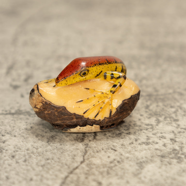 Red And Greenish Gecko Tagua Nut Carving