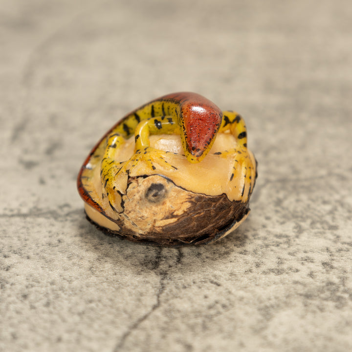 Red And Greenish Gecko Tagua Nut Carving