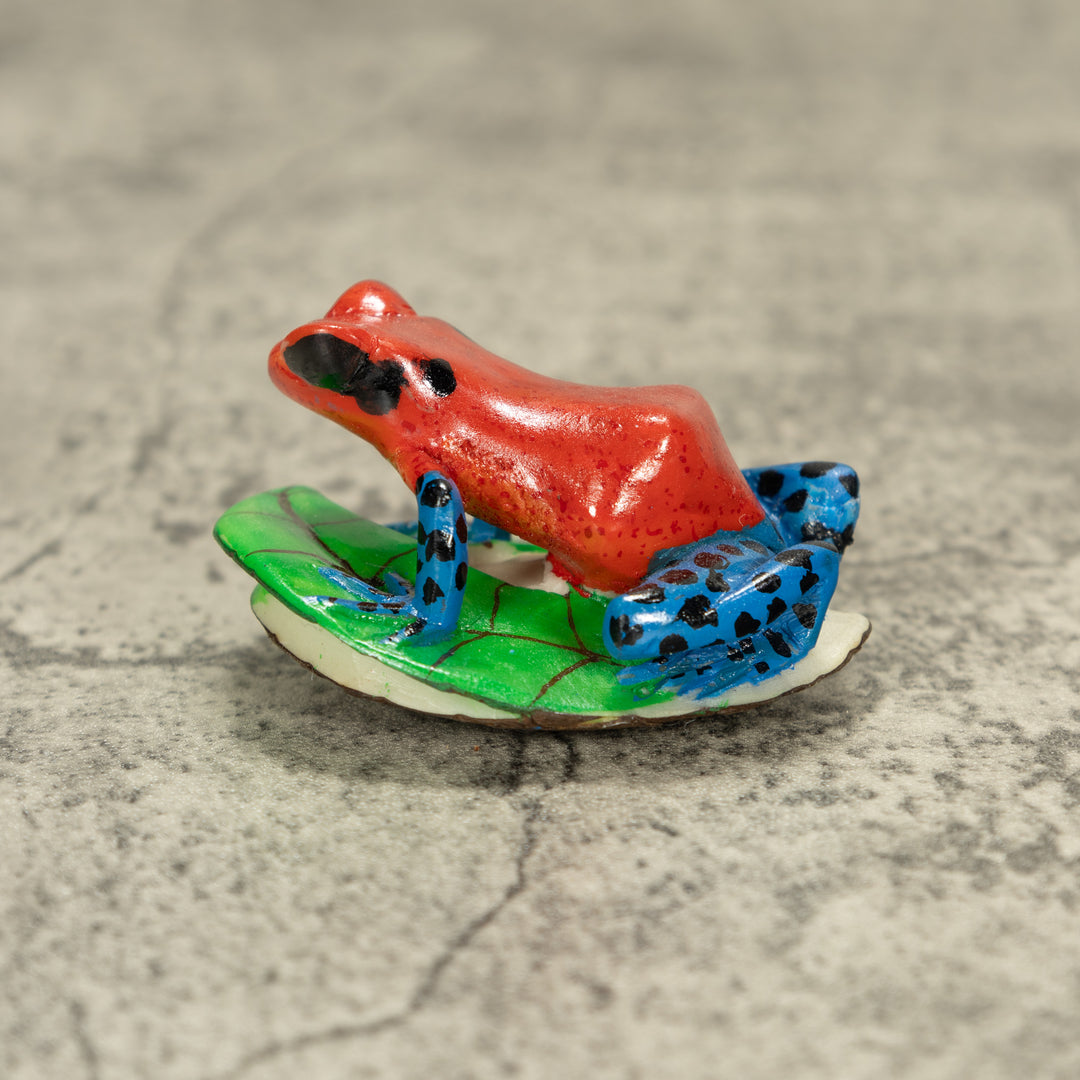 Red And Blue Poison Dart Frog Tagua Nut Carving