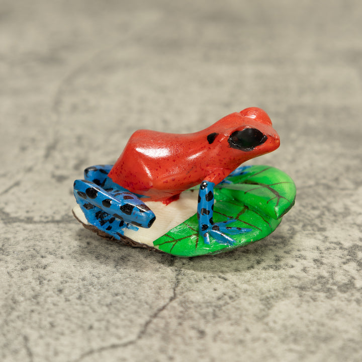 Red And Blue Poison Dart Frog Tagua Nut Carving