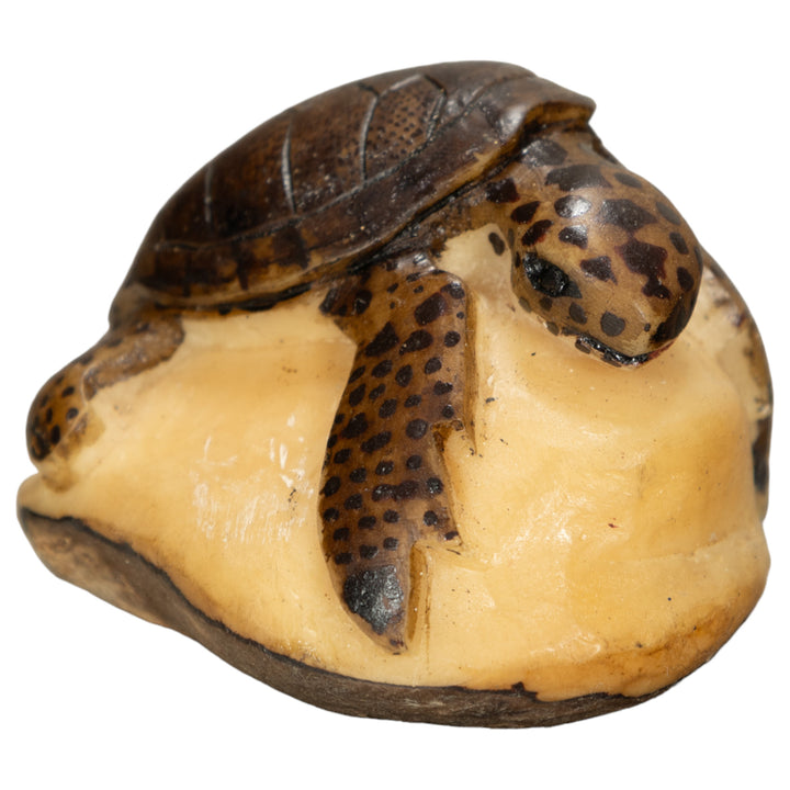 Sea Turtle Tagua Nut Carving