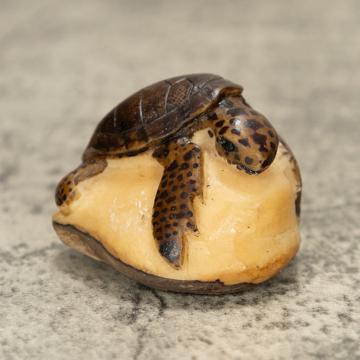 Sea Turtle Tagua Nut Carving