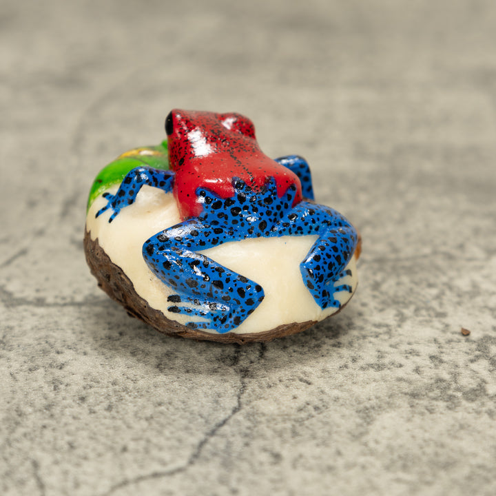 Red And Blue Poison Dart Frog Tagua Nut Carving