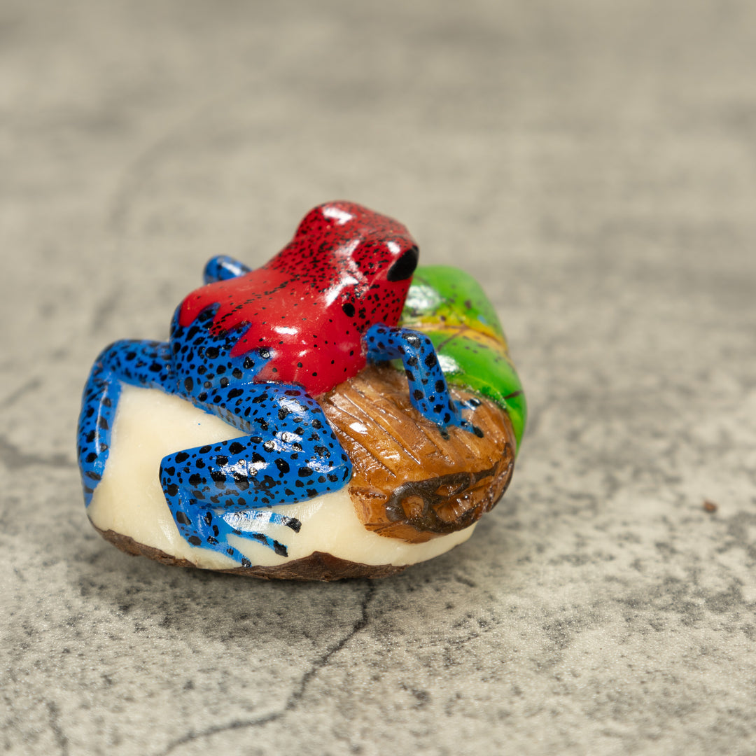Red And Blue Poison Dart Frog Tagua Nut Carving