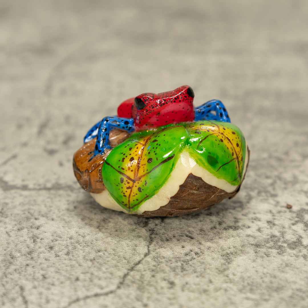Red And Blue Poison Dart Frog Tagua Nut Carving