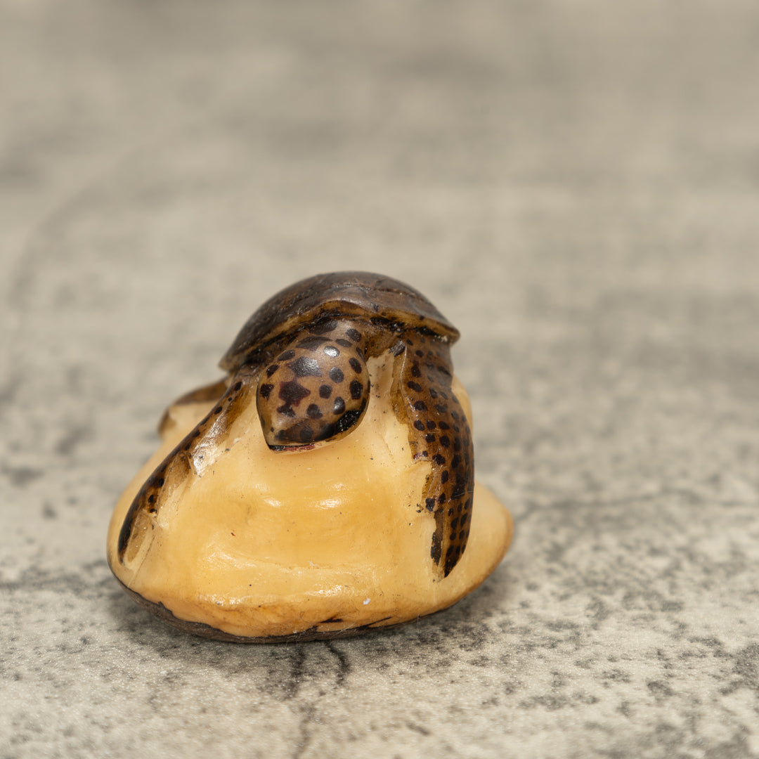 Sea Turtle Tagua Nut Carving