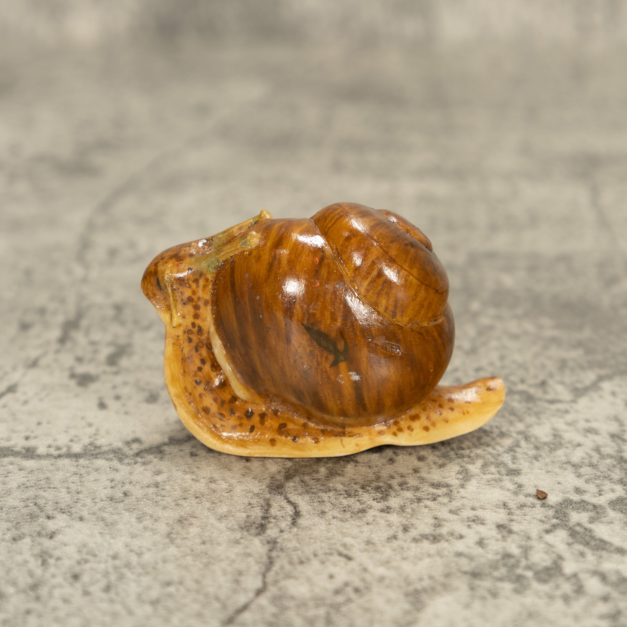 Brown Snail Tagua Nut Carving