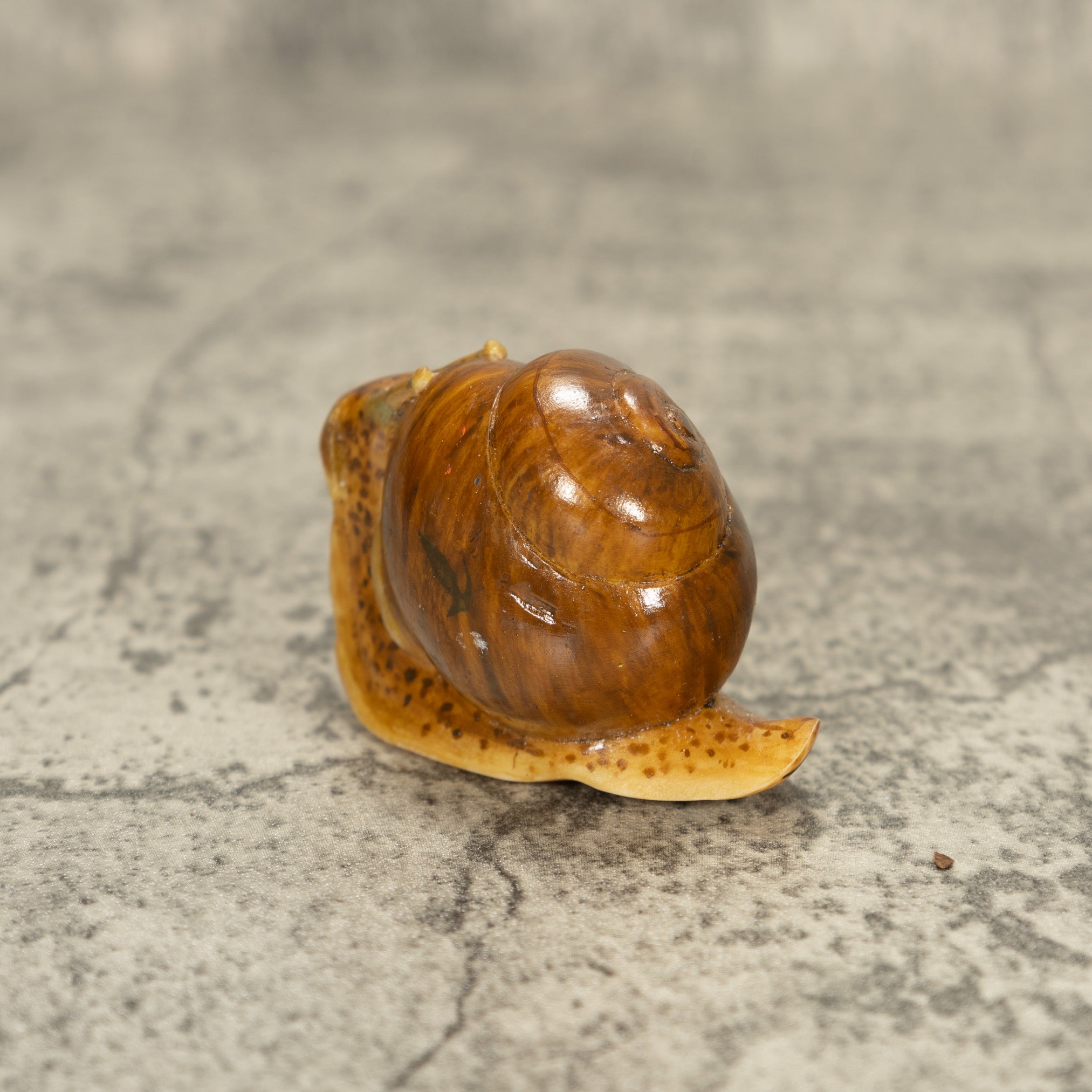 Brown Snail Tagua Nut Carving