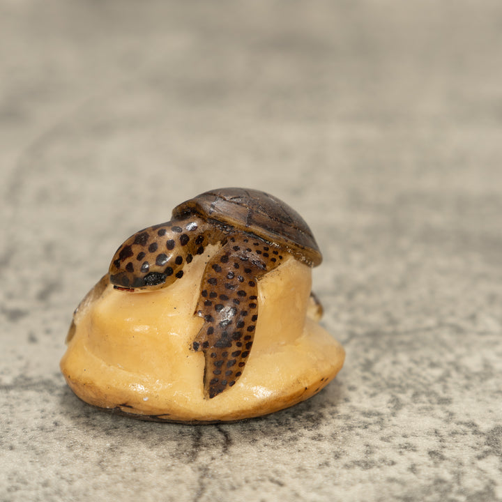 Sea Turtle Tagua Nut Carving