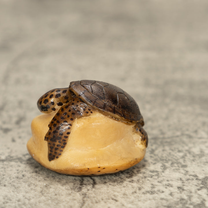 Sea Turtle Tagua Nut Carving