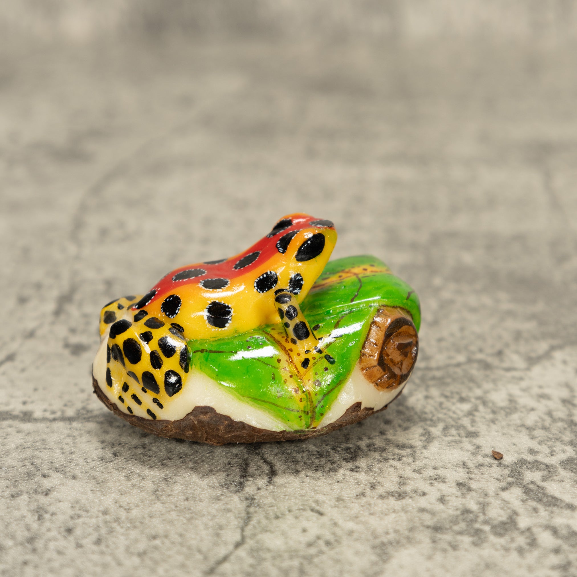 Orange And Red Poison Dart Frog Tagua Nut Carving