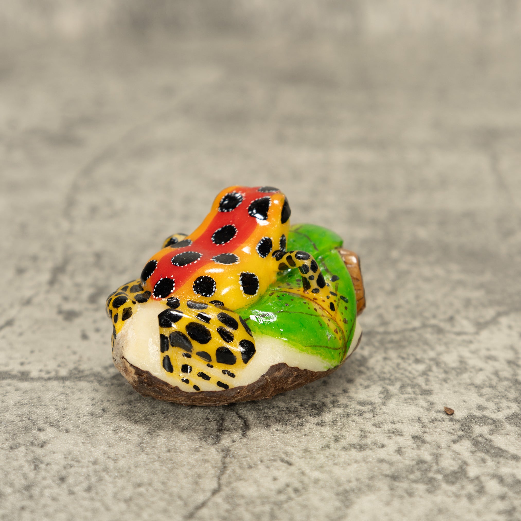 Orange And Red Poison Dart Frog Tagua Nut Carving