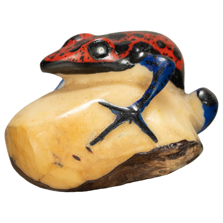 Red And Black Poison Dart Frog Tagua Nut Carving