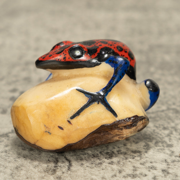 Red And Black Poison Dart Frog Tagua Nut Carving