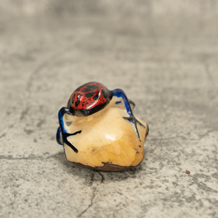 Red And Black Poison Dart Frog Tagua Nut Carving
