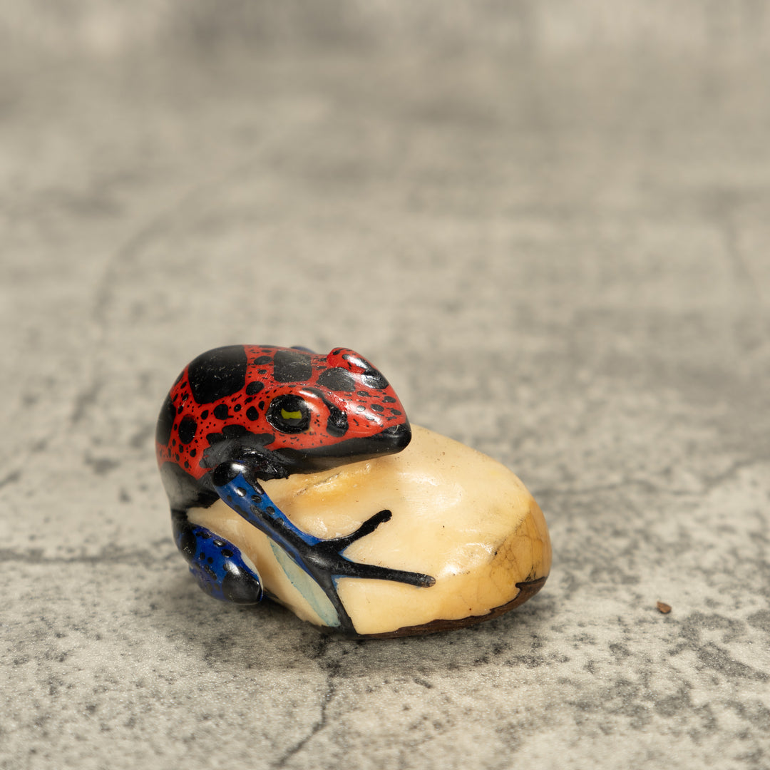 Red And Black Poison Dart Frog Tagua Nut Carving