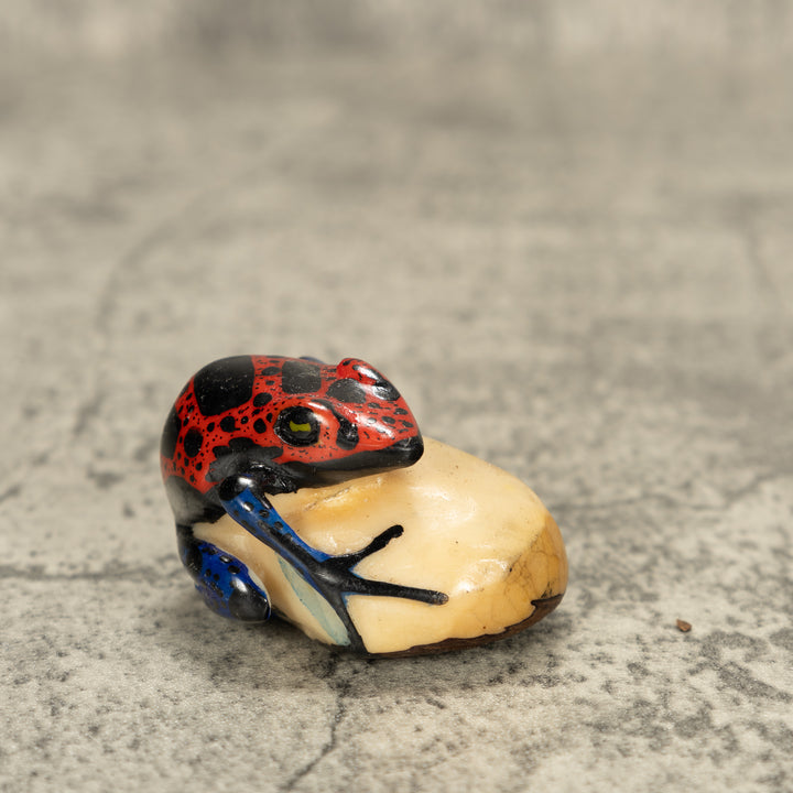 Red And Black Poison Dart Frog Tagua Nut Carving