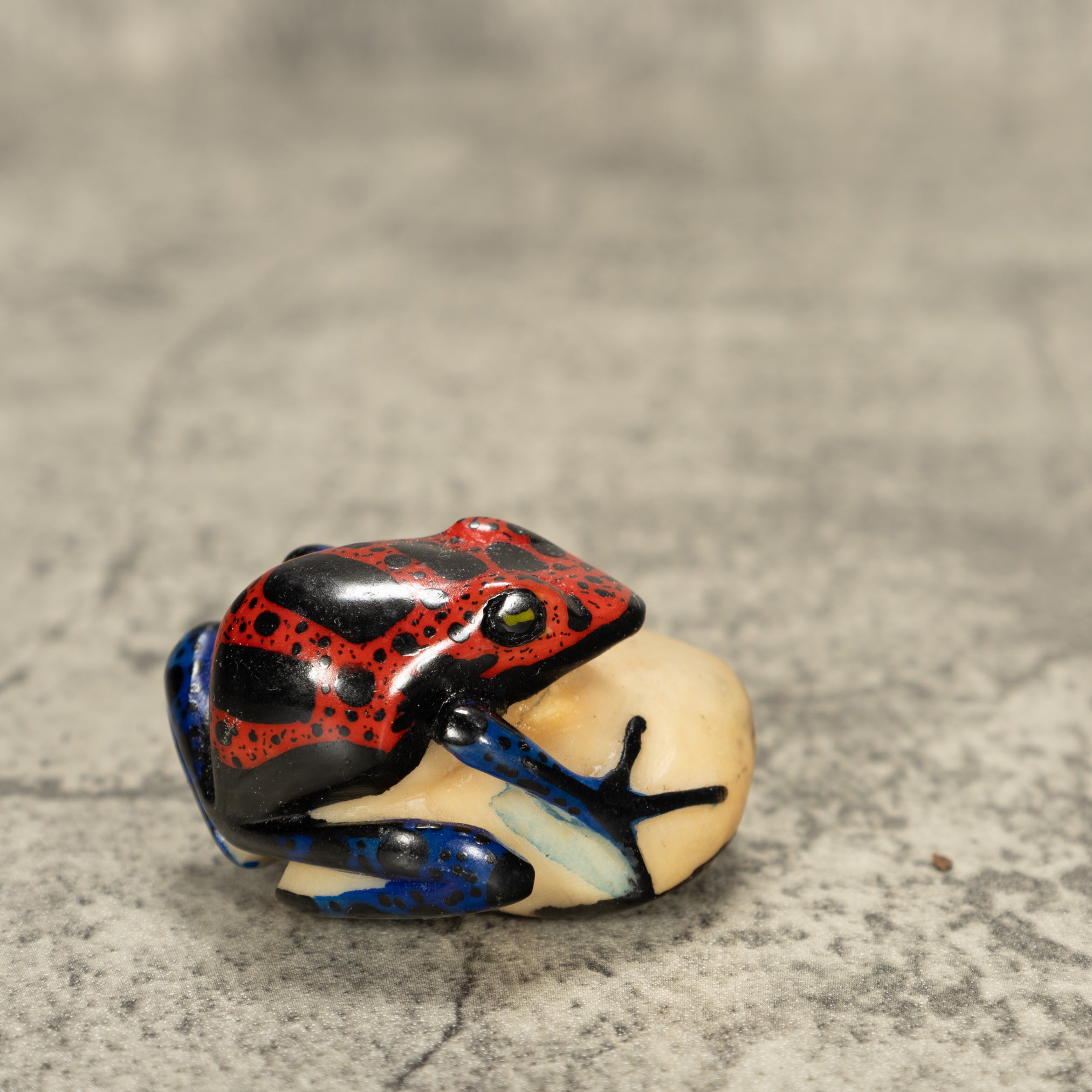 Red And Black Poison Dart Frog Tagua Nut Carving