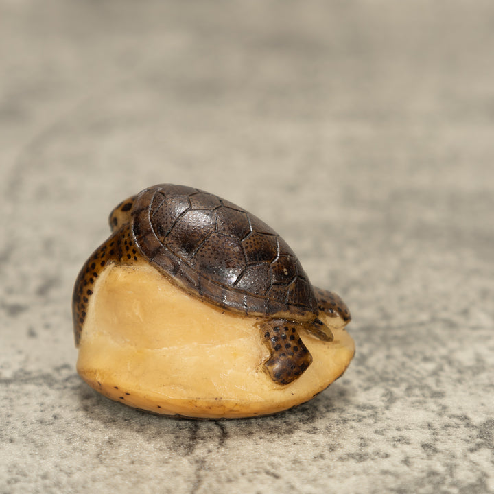 Sea Turtle Tagua Nut Carving