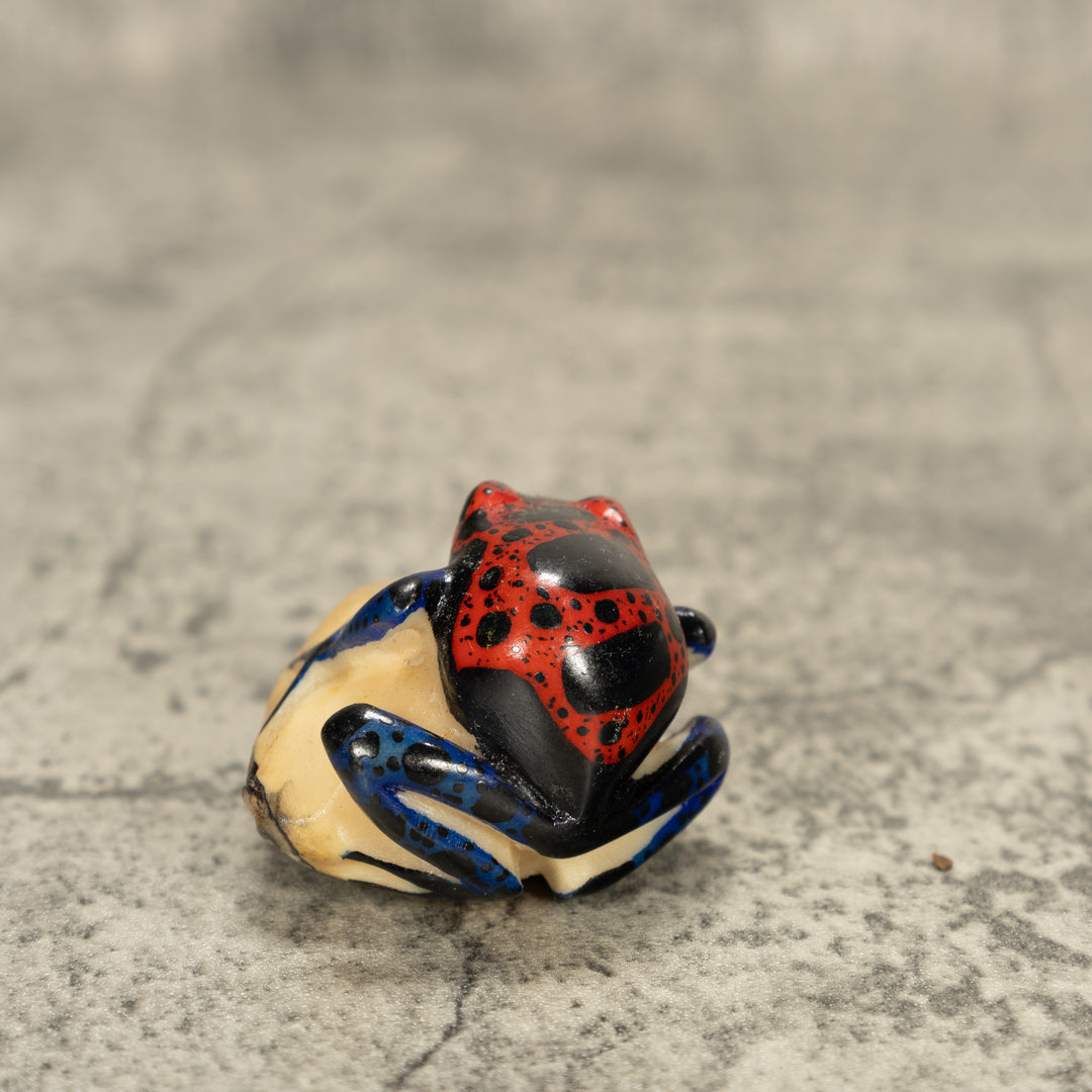 Red And Black Poison Dart Frog Tagua Nut Carving