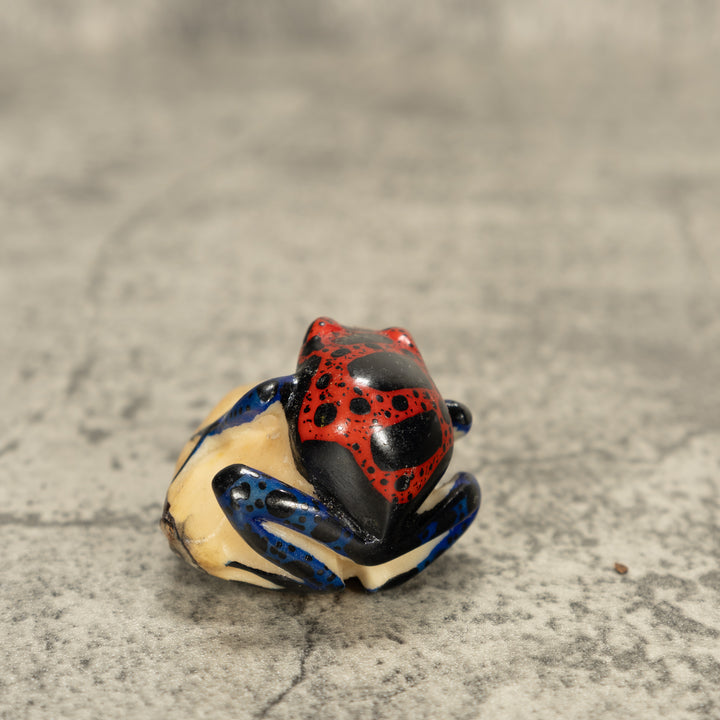 Red And Black Poison Dart Frog Tagua Nut Carving