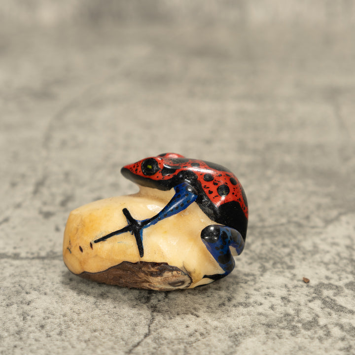 Red And Black Poison Dart Frog Tagua Nut Carving