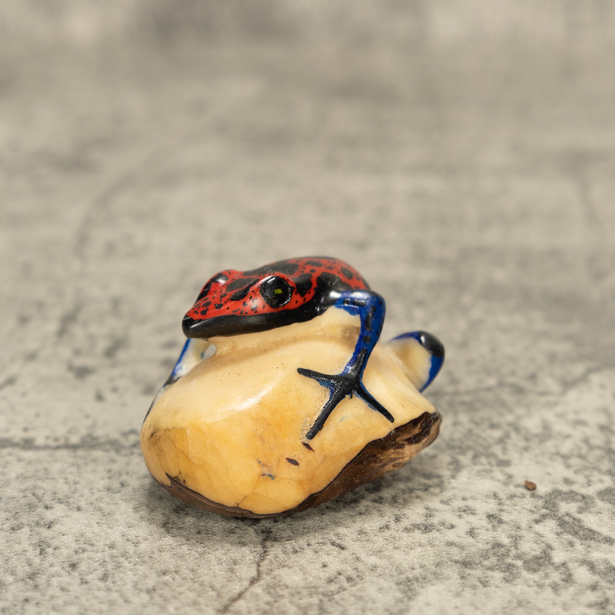 Red And Black Poison Dart Frog Tagua Nut Carving