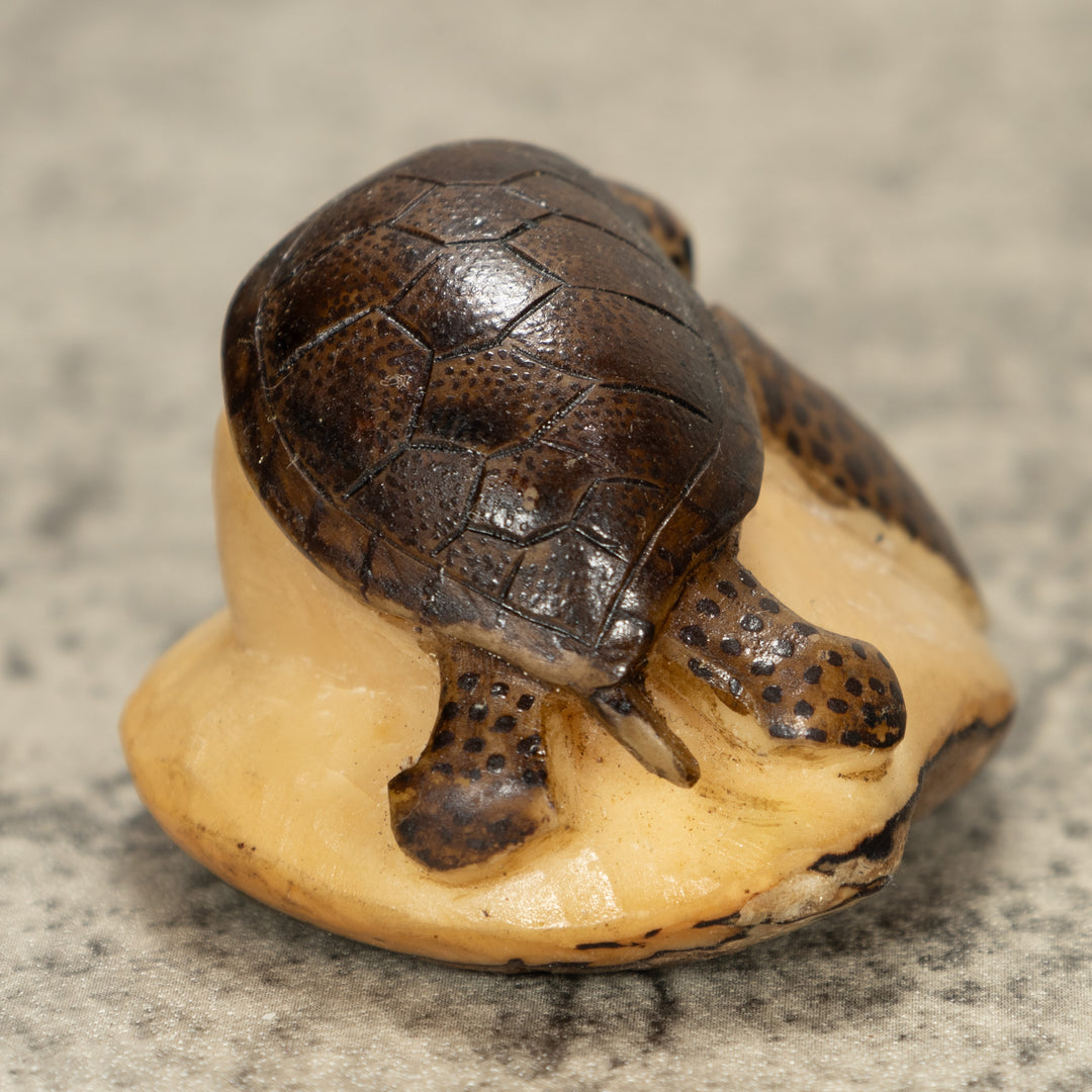 Sea Turtle Tagua Nut Carving