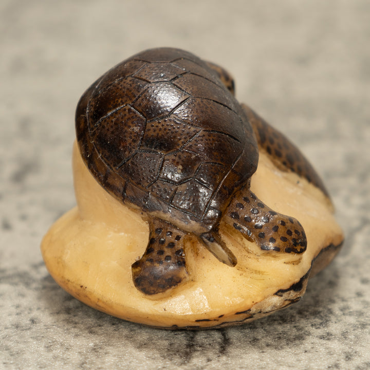 Sea Turtle Tagua Nut Carving