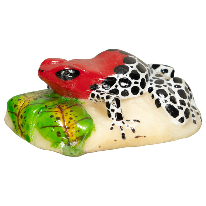 Red Black And White Poison Dart Frog Tagua Nut Carving