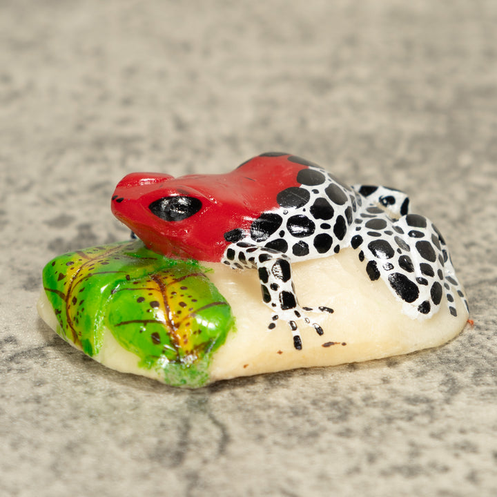 Red Black And White Poison Dart Frog Tagua Nut Carving
